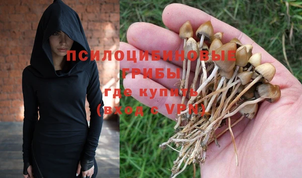трава Алзамай