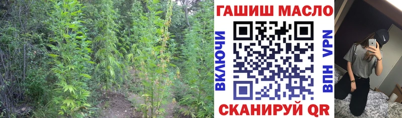 ТГК гашишное масло  хочу   Сураж 