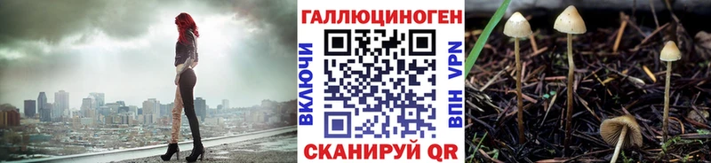 где найти наркотики  Сураж  Псилоцибиновые грибы Magic Shrooms 